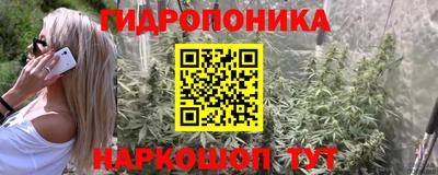 мяу мяу мука Пугачёв