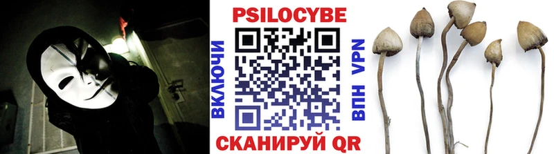 закладка  Черемхово  Псилоцибиновые грибы GOLDEN TEACHER 