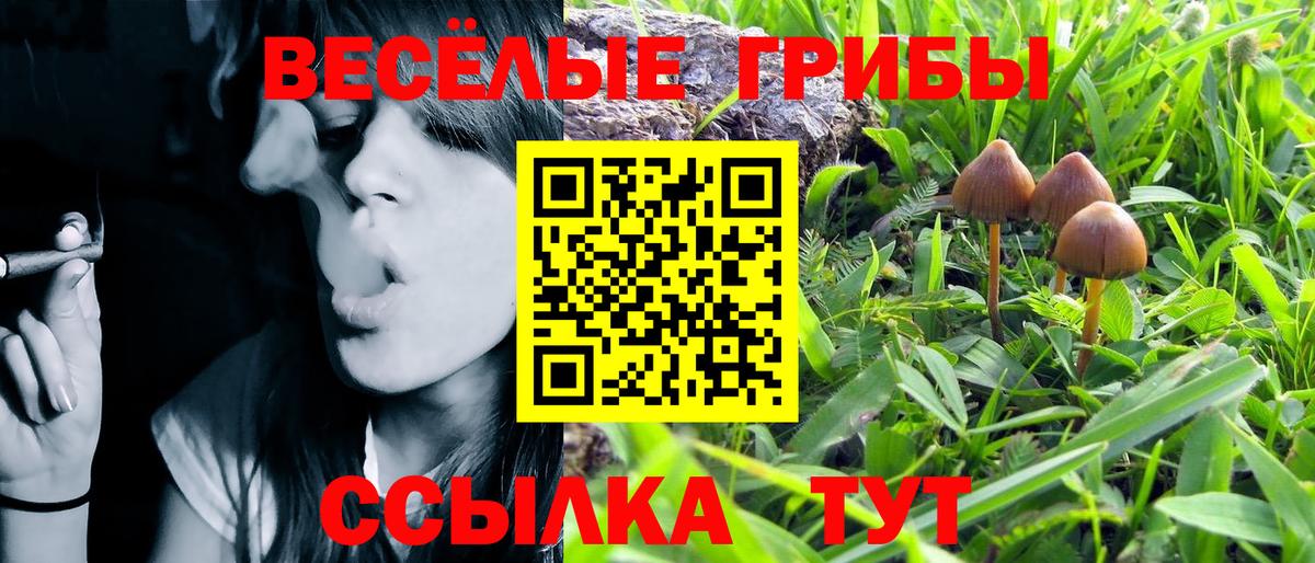 Псилоцибиновые грибы Magic Shrooms  Галлюциногенные грибы мицелий  Вход с VPN  Черемхово 