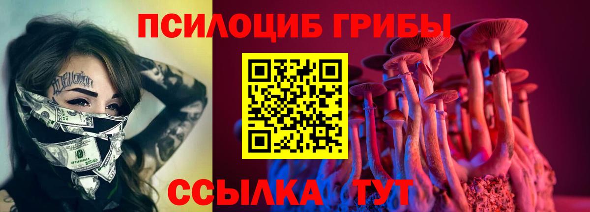 Псилоцибиновые грибы Psilocybine cubensis Черемхово