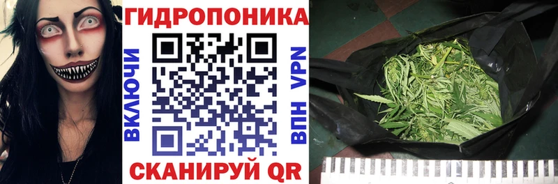 Канабис гибрид  kraken ТОР  Черемхово 